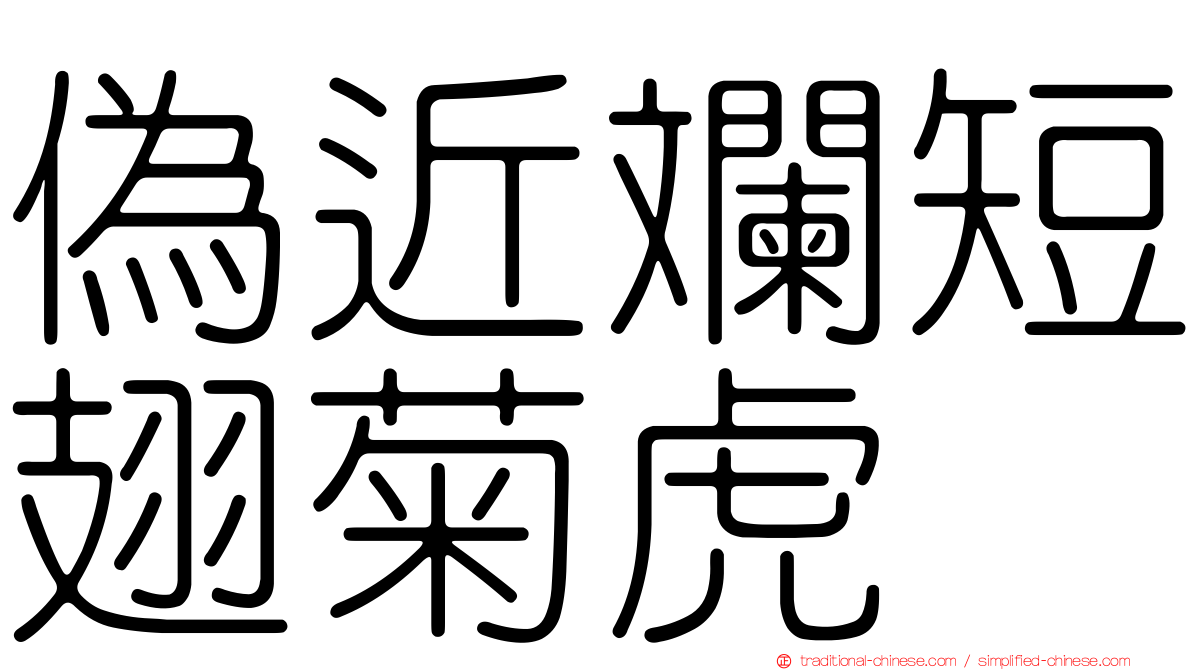 偽近斕短翅菊虎