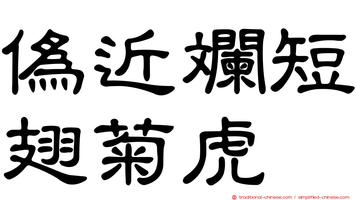 偽近斕短翅菊虎