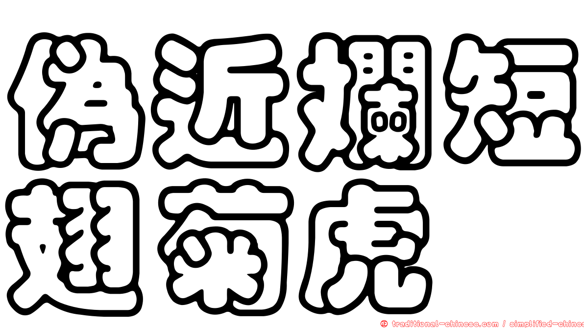 偽近斕短翅菊虎