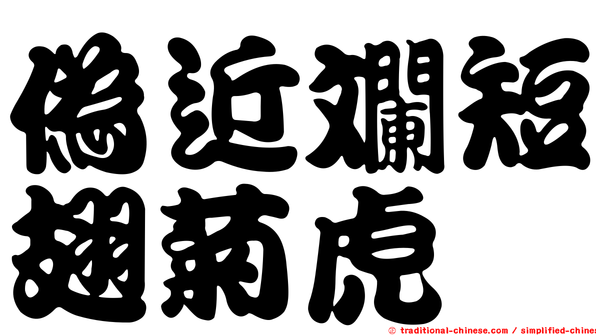 偽近斕短翅菊虎