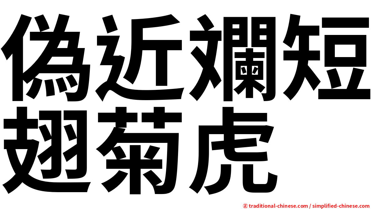 偽近斕短翅菊虎