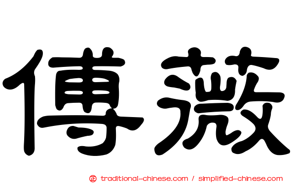 傅薇
