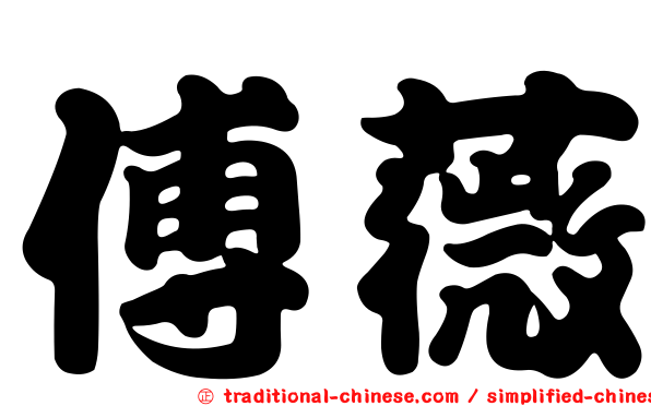 傅薇