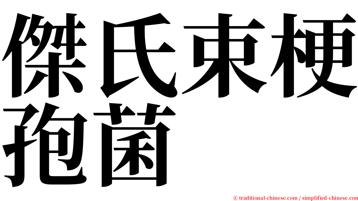傑氏束梗孢菌 serif font