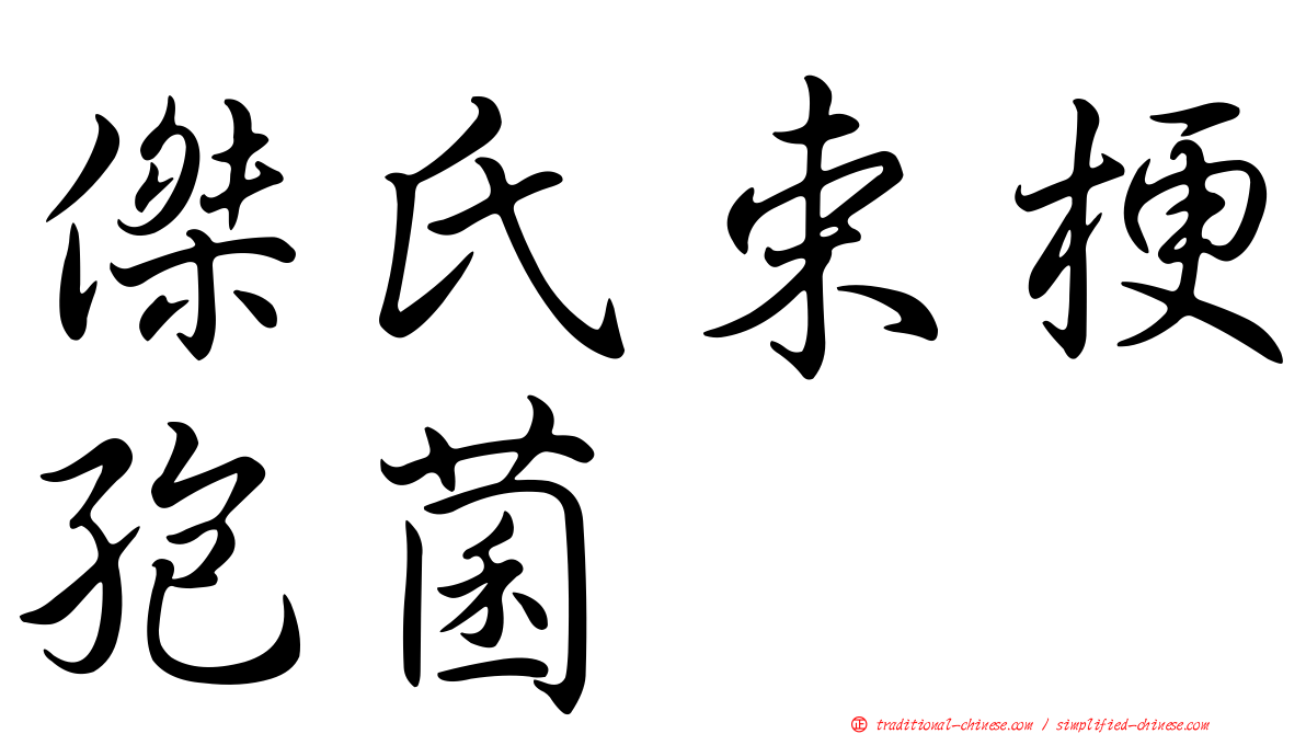 傑氏束梗孢菌