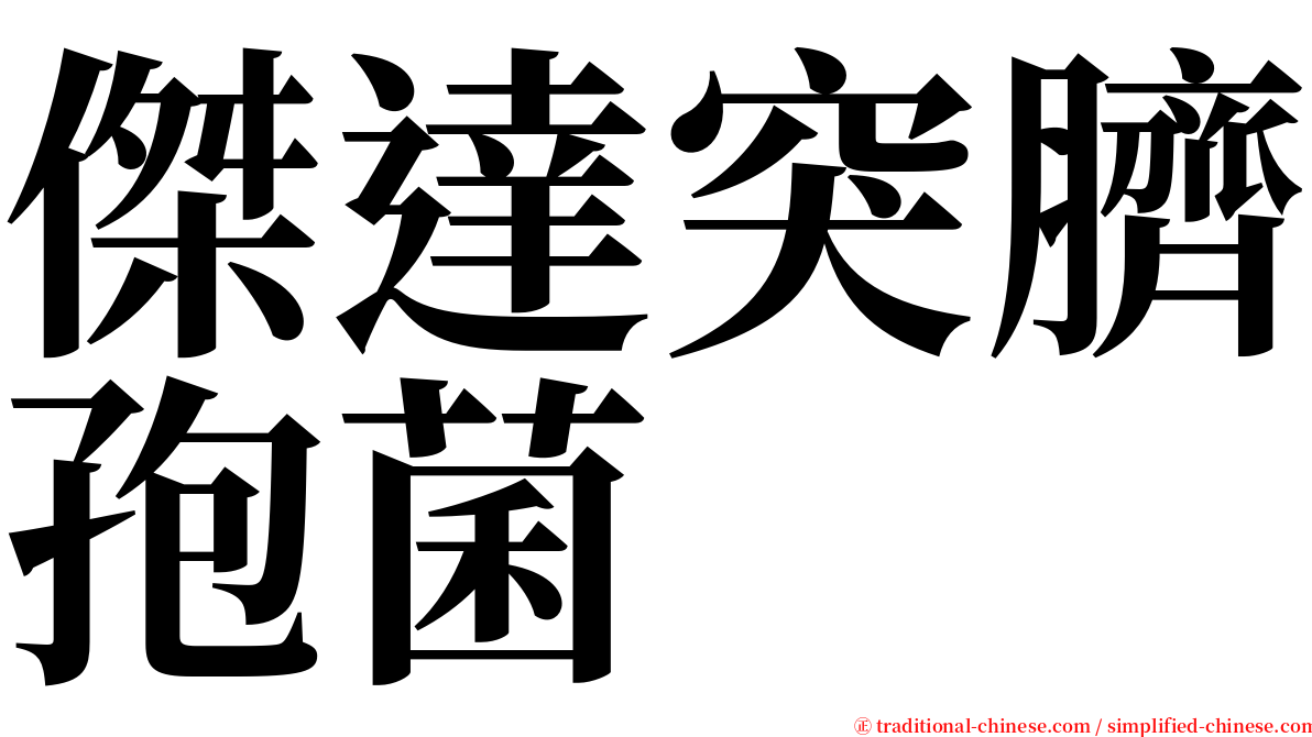 傑達突臍孢菌 serif font