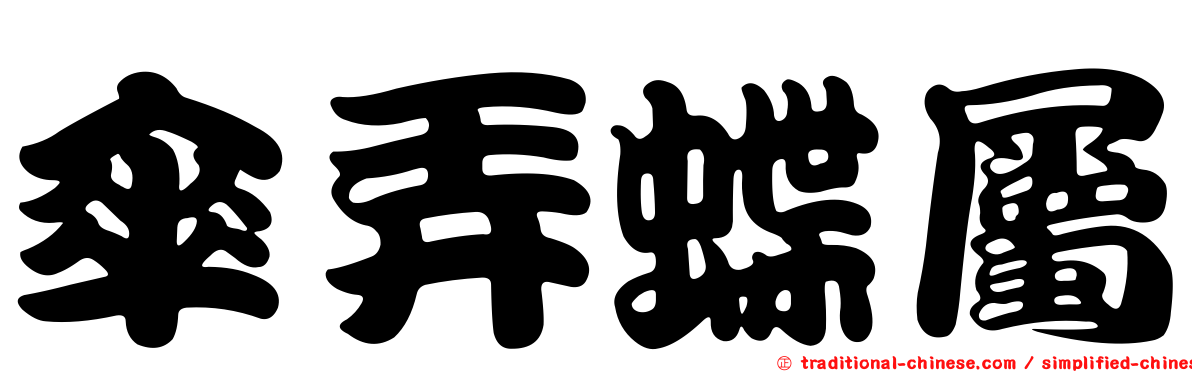 傘弄蝶屬