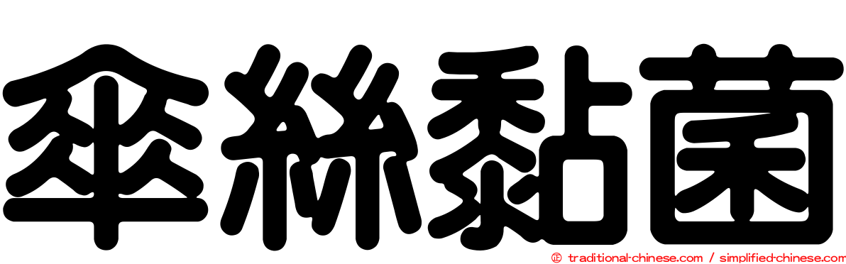 傘絲黏菌