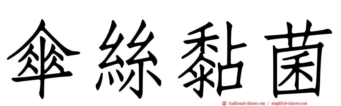 傘絲黏菌
