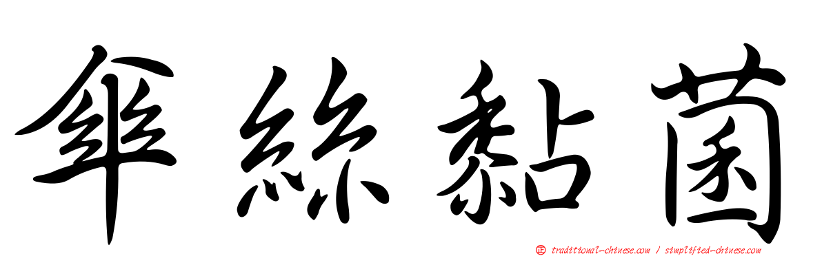 傘絲黏菌