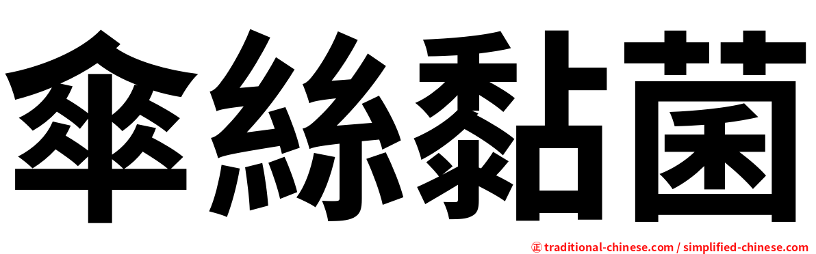 傘絲黏菌