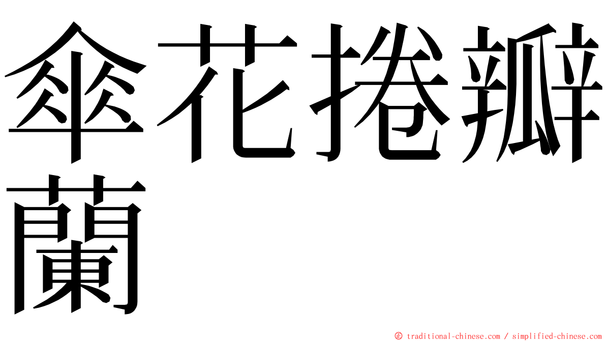 傘花捲瓣蘭 ming font