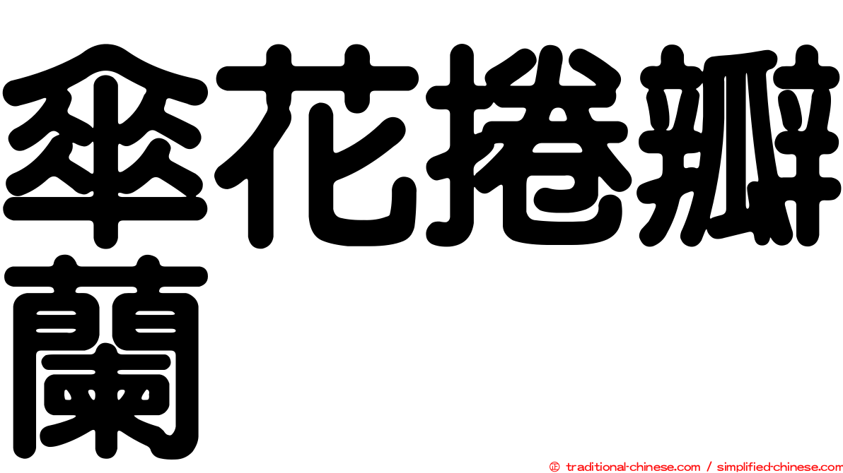 傘花捲瓣蘭