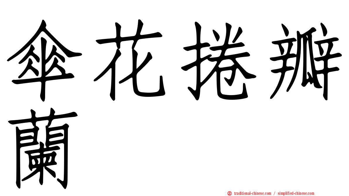 傘花捲瓣蘭