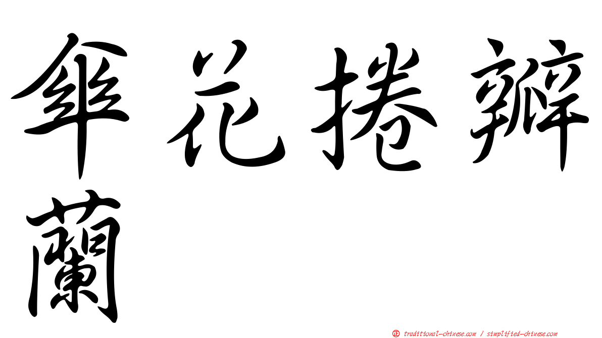 傘花捲瓣蘭
