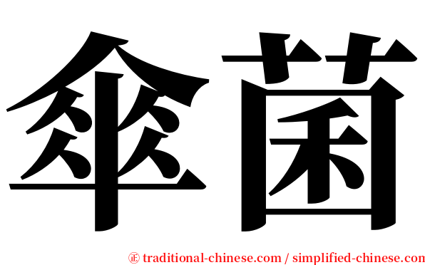 傘菌 serif font