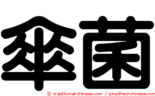 傘菌