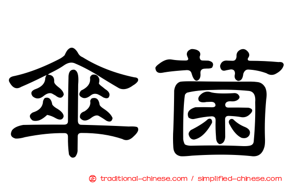 傘菌