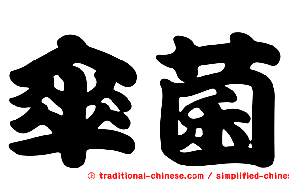 傘菌