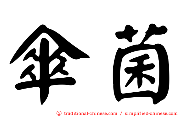 傘菌