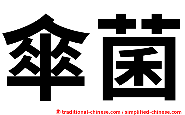 傘菌