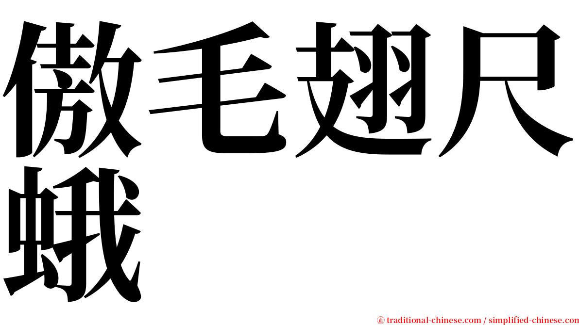 傲毛翅尺蛾 serif font