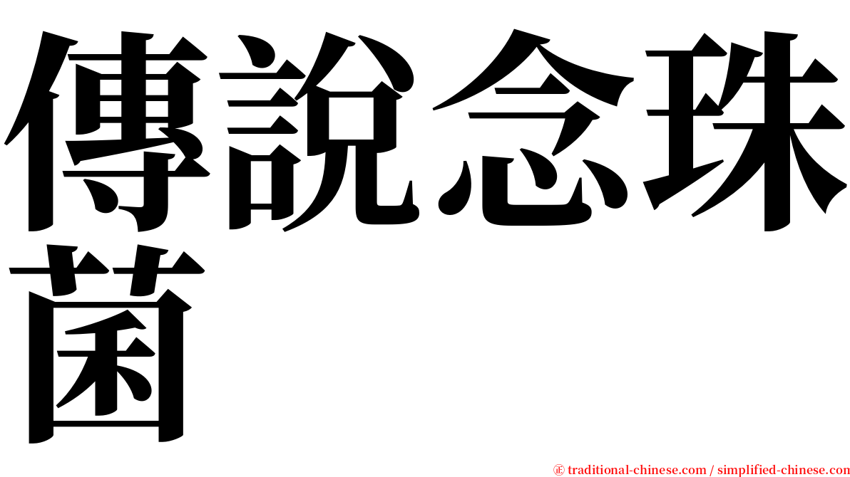 傳說念珠菌 serif font