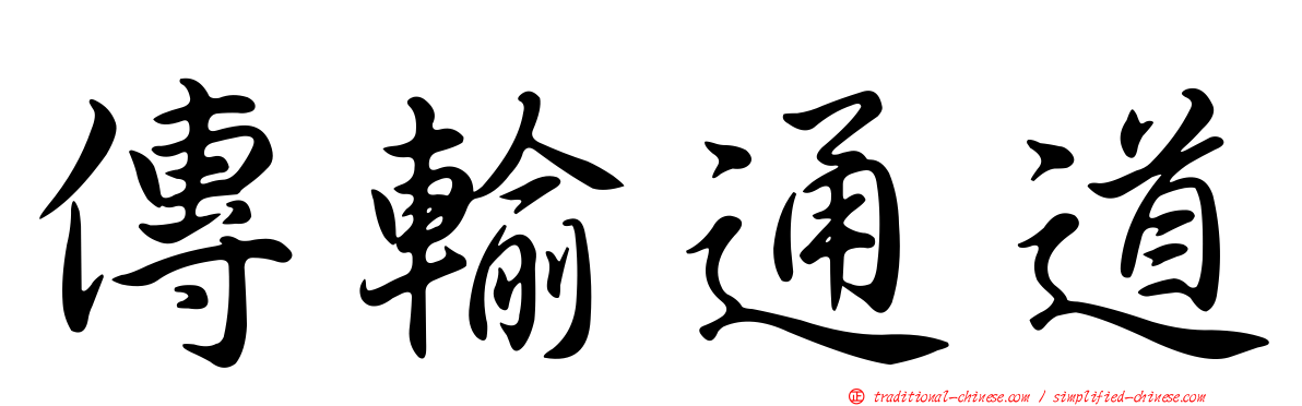 傳輸通道