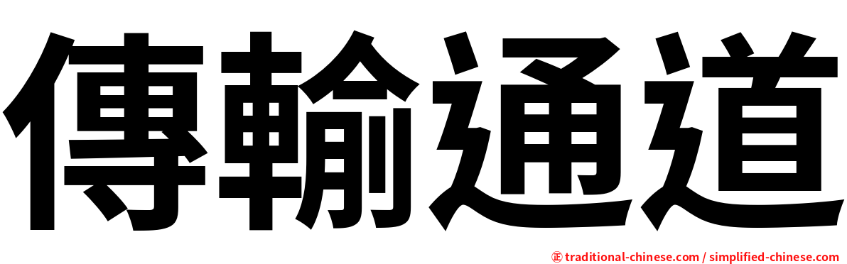 傳輸通道