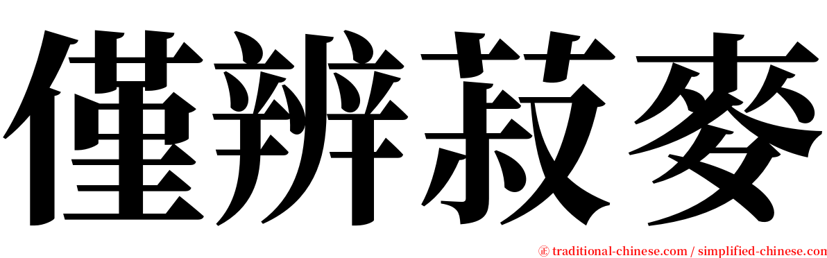 僅辨菽麥 serif font