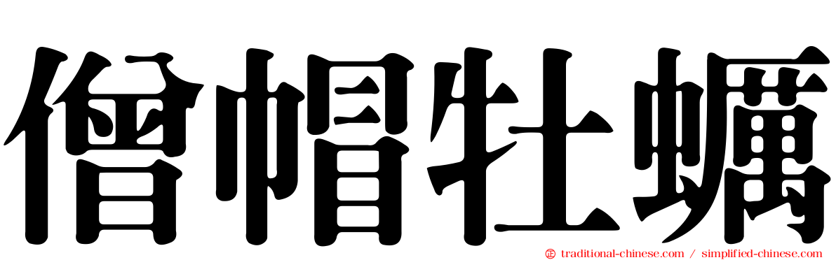 僧帽牡蠣