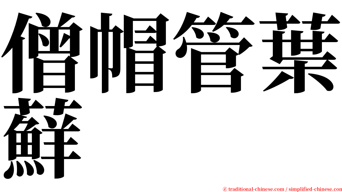 僧帽管葉蘚 serif font