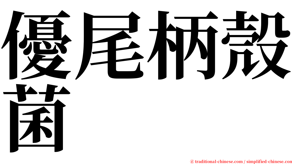 優尾柄殼菌 serif font