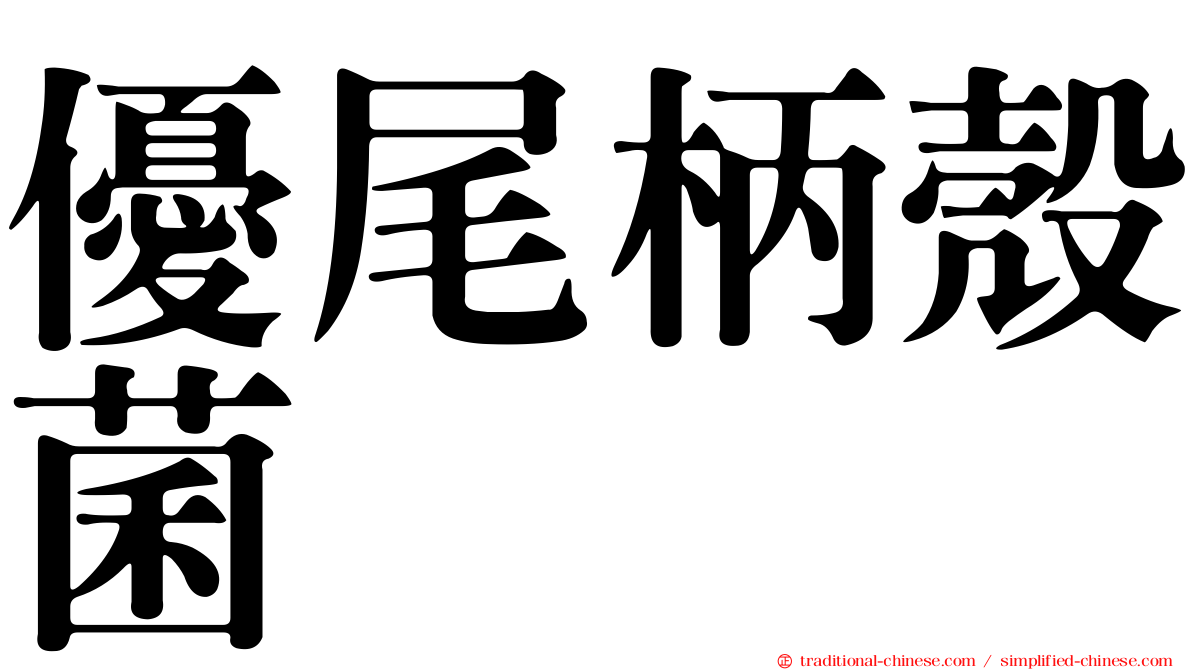 優尾柄殼菌