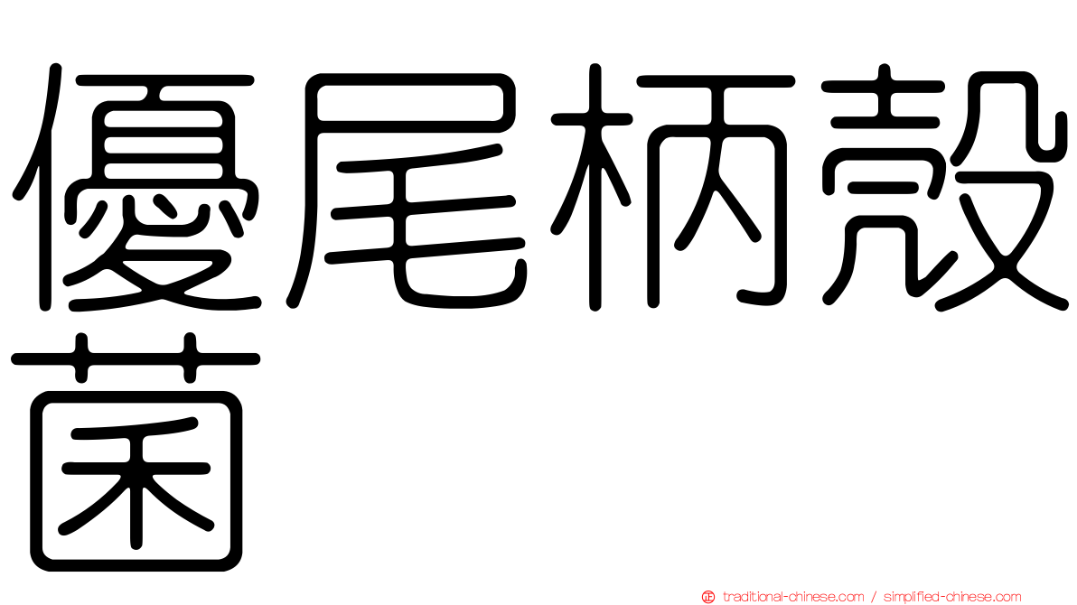 優尾柄殼菌