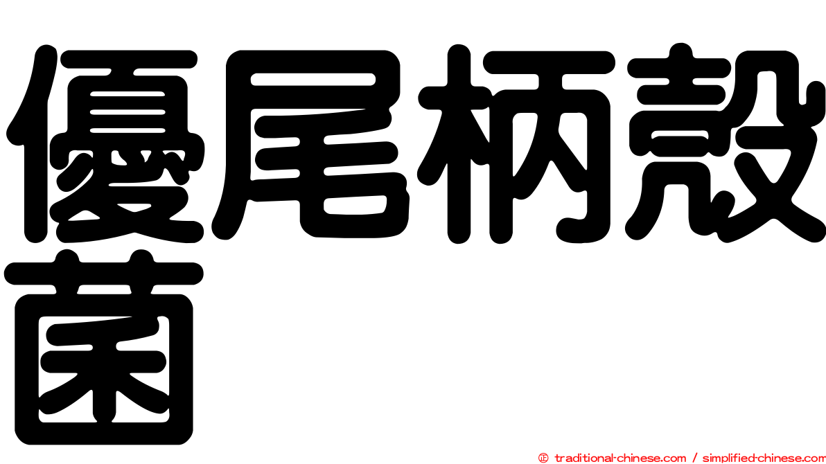 優尾柄殼菌