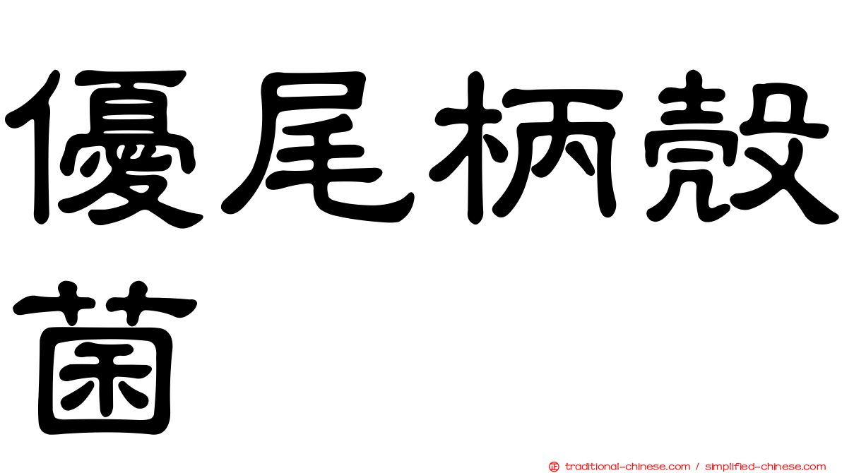 優尾柄殼菌