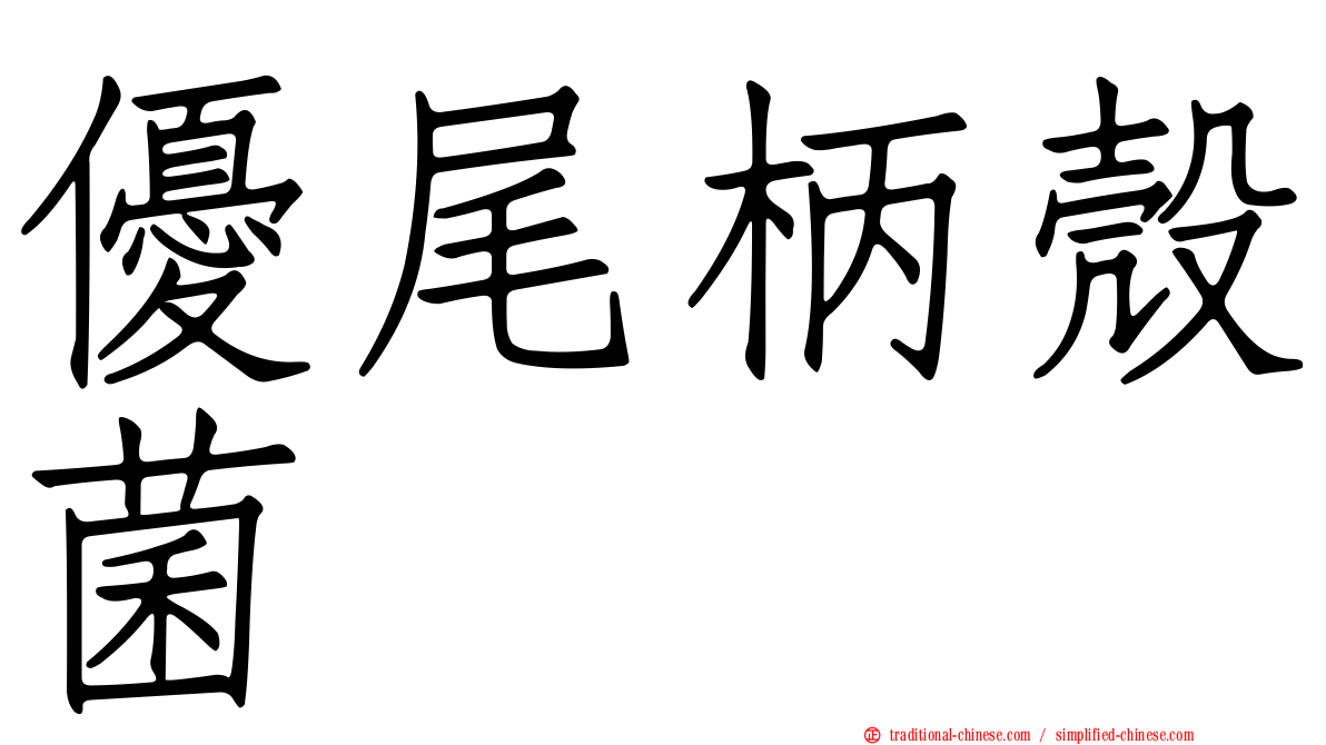 優尾柄殼菌