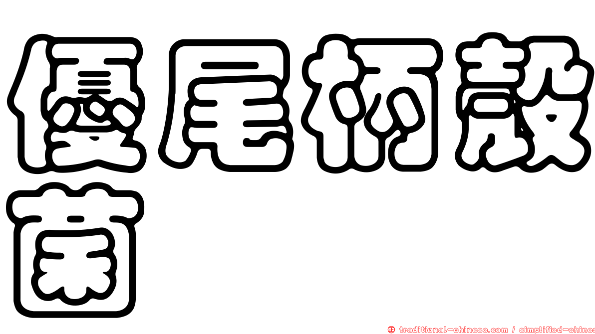 優尾柄殼菌