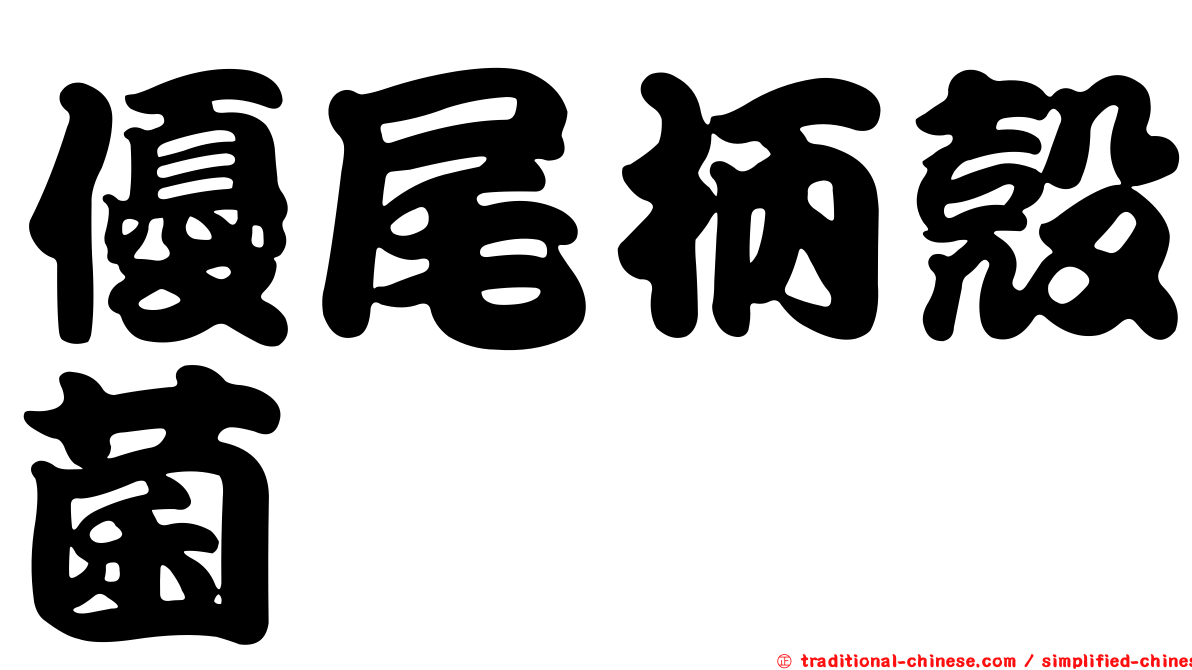 優尾柄殼菌