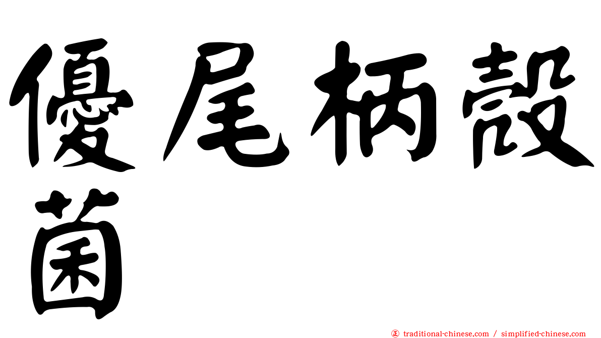 優尾柄殼菌