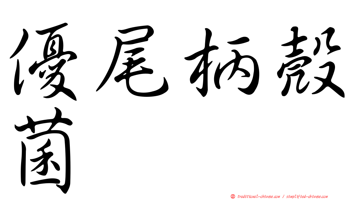 優尾柄殼菌