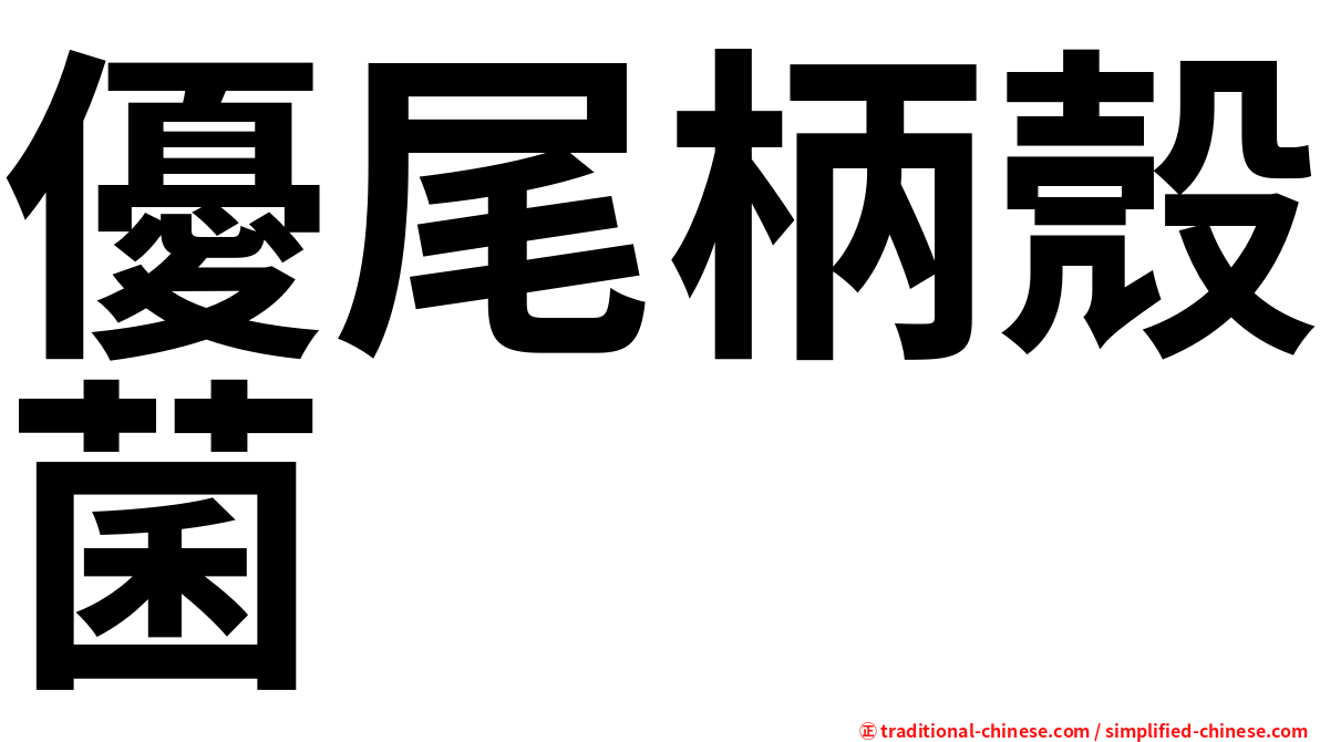 優尾柄殼菌