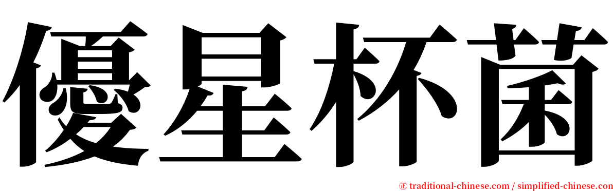 優星杯菌 serif font