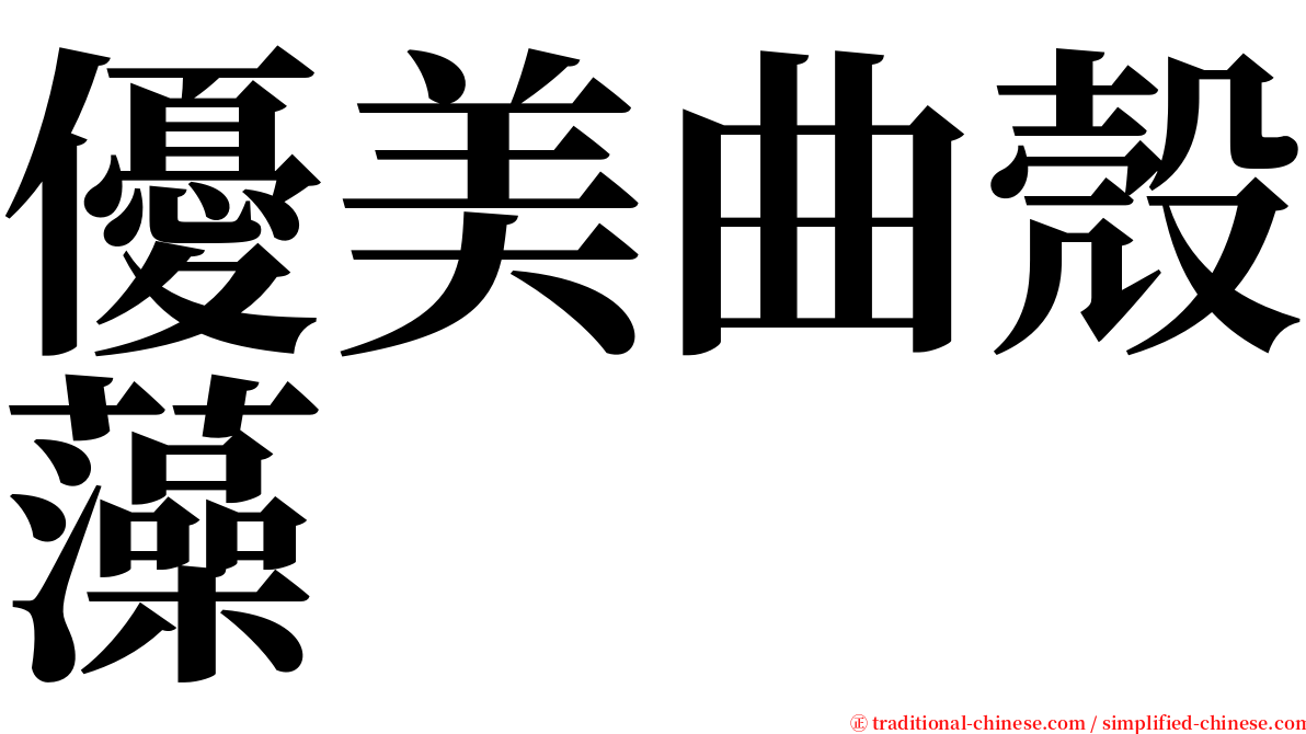 優美曲殼藻 serif font