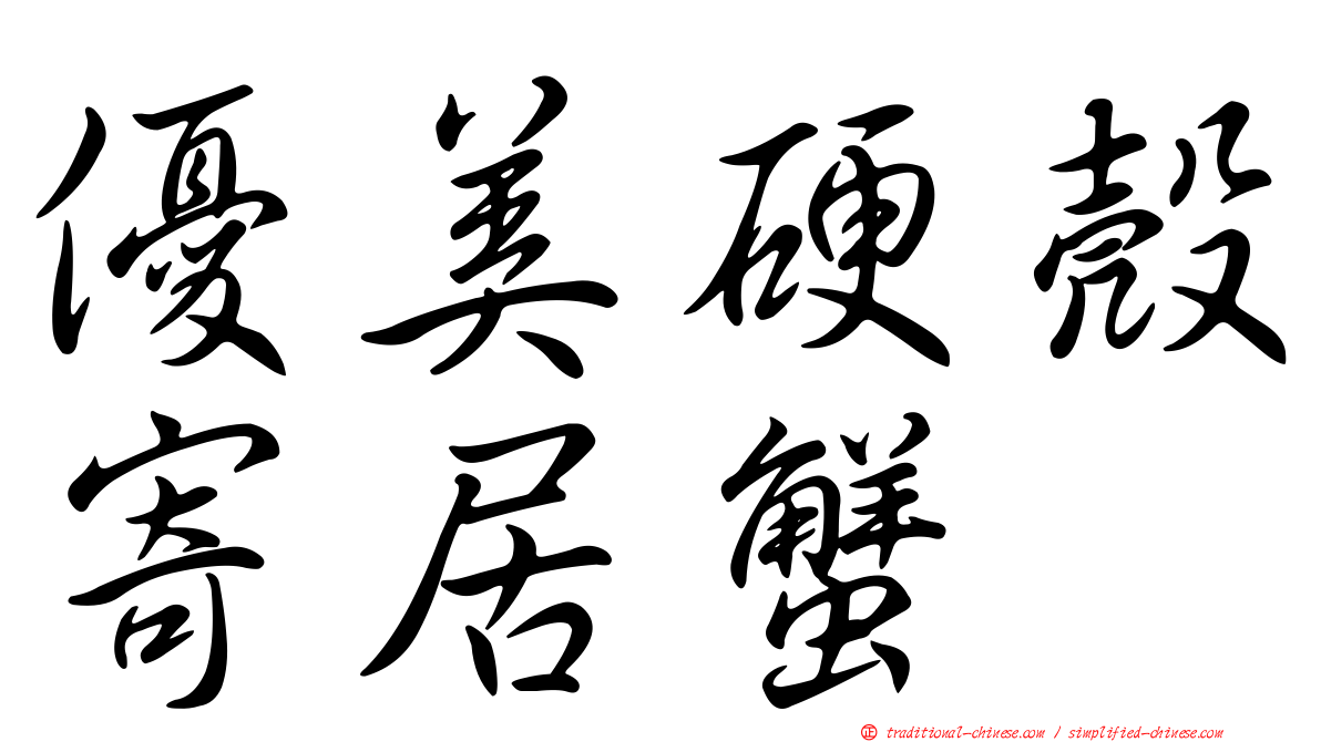 優美硬殼寄居蟹