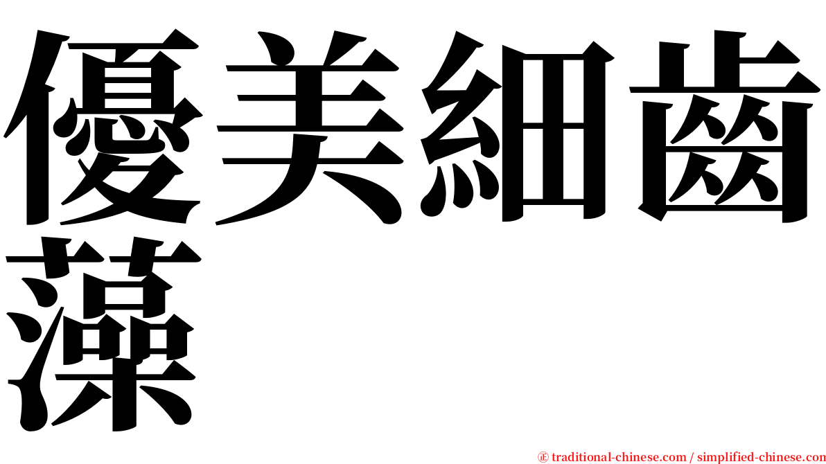 優美細齒藻 serif font