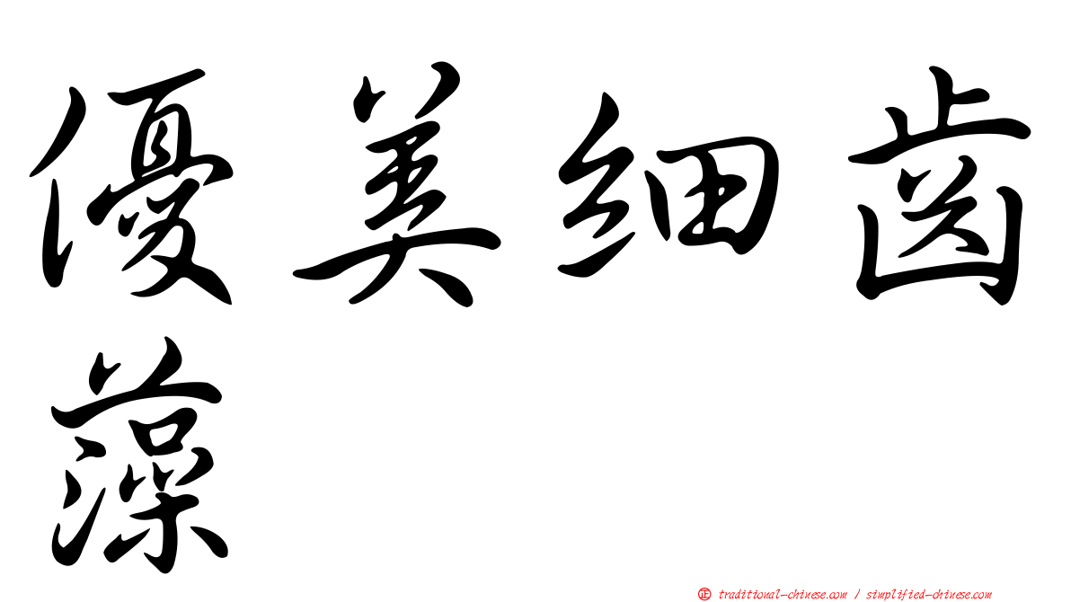 優美細齒藻