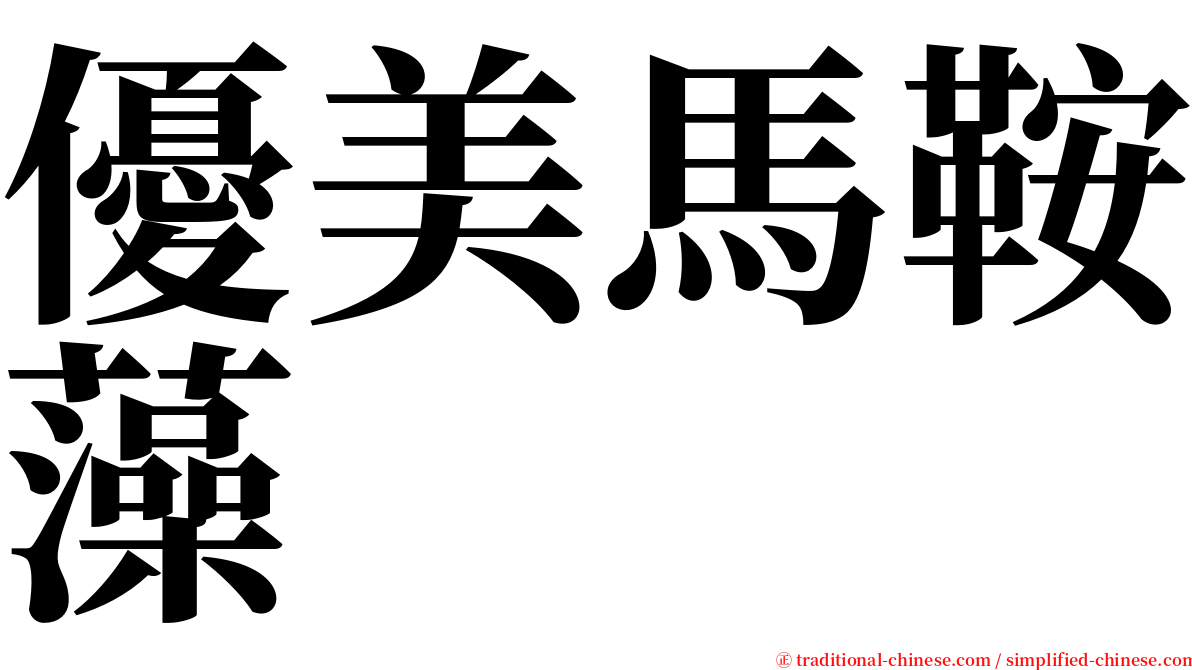 優美馬鞍藻 serif font