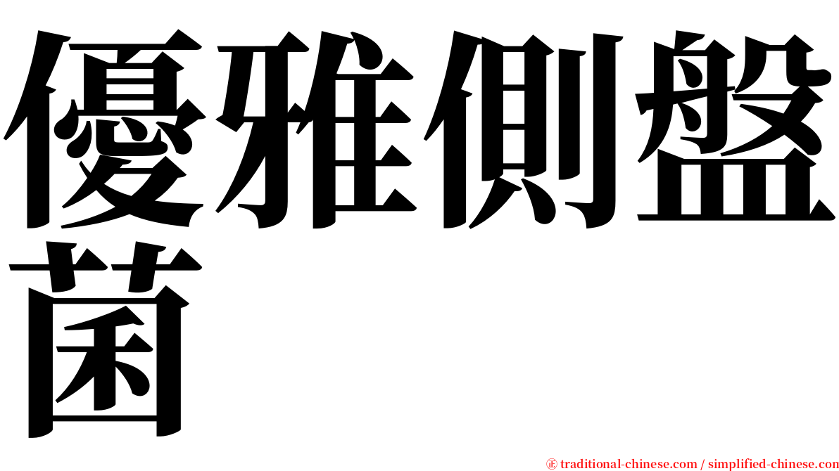 優雅側盤菌 serif font